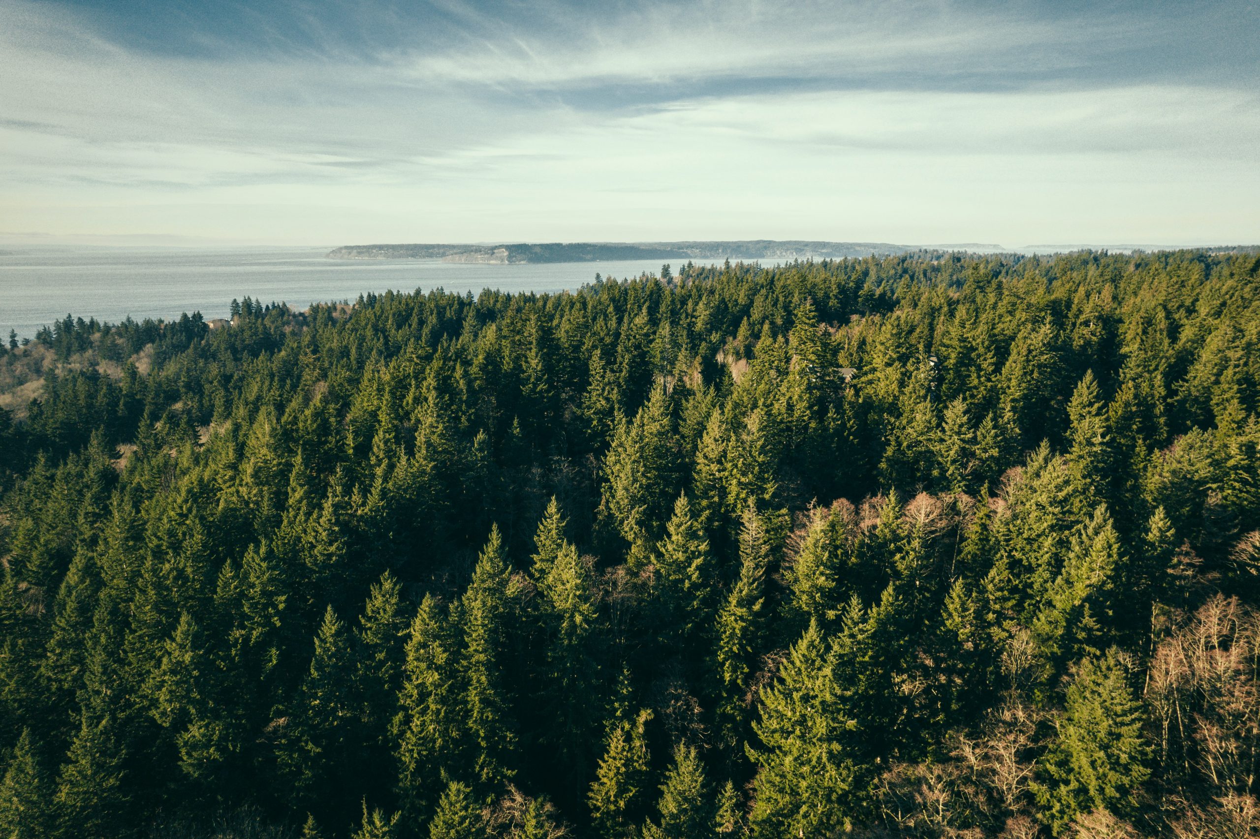 cody-fitzgerald-FwJseOUaaQI-unsplash